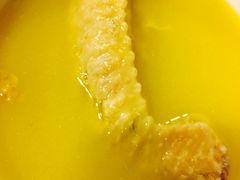 -鲜入围煮花胶鸡海鲜火锅