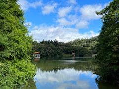 -深圳仙湖植物园