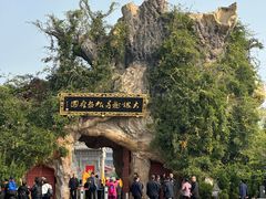 -大槐树寻根祭祖园