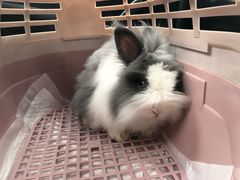 -乐宠宠物店(世纪金源店)