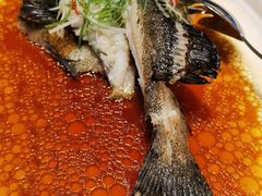-悦宴·雅致餐厅(绿地蓝海店)