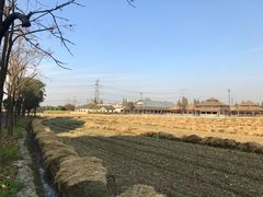 -乌村