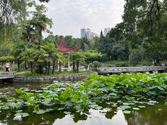 -中国科技大学-专家楼食堂