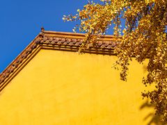-宝通禅寺