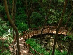 -大岭沟猕猴桃谷风景区