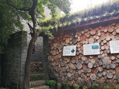 -田德能咖啡博物馆