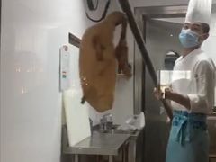 -海湾壹品·粤菜·早茶·烤鸭(拱北店)