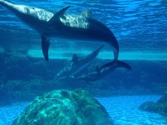 -广东省拱北口岸中国旅行社(华宾营业部)