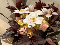 -屋里厢上海菜馆