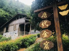 -遂昌金矿国家矿山公园
