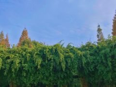 -金沙遗址博物馆