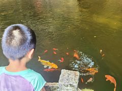 -雁荡山三折瀑景区