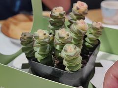 -四季餐厅·新津菜(环湖中路店)