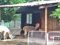 -武汉紫薇都市田园