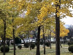 -西西里轰趴日租聚会别墅·团建拓展