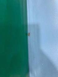 -宝贝王(天津滨海店)