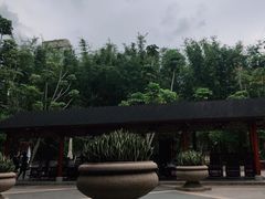 -碧水湾温泉