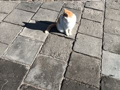 -慕田峪长城