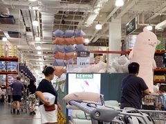 -山姆会员商店(亦庄创意生活广场店)