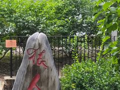 -周口店北京人遗址公园