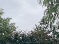 -张掖大佛寺景区