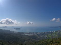 -三亚亚龙湾人间天堂鸟巢度假村