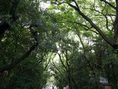 -热田神宫