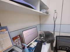 -中农国际动物医院24小时·猫科·骨科·急重症中心