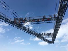 -梦幻奥陶纪景区