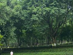 -龙头寺公园