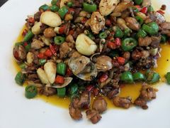 -有红鸡毛店·川菜(建设路店)