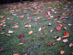 -苏州河梦清园环保主题公园