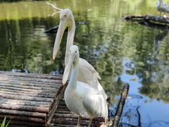 -济南野生动物世界