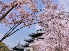 -苏州上方山国家森林公园
