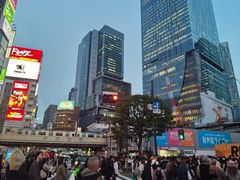 -涩谷区