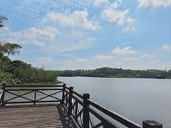 -沙家浜风景区