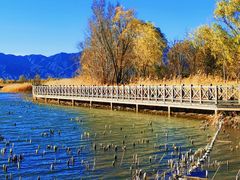 -野鸭湖国家湿地公园