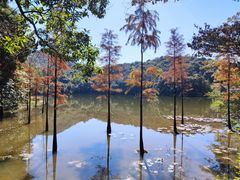 -广州市石门国家森林公园