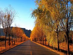 -玉渡山自然风景区