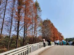 -华南国家植物园-售票处