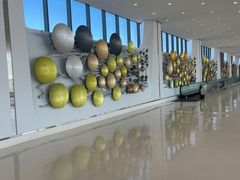 -奥黑尔国际机场