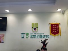 -艾吉宠物医院·疑难杂症转诊中心·猫友好(碧江路院)