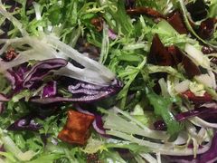 炝拌苦菊-刘胖子家常菜·蹄花焖藕(兴业店)