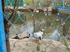 -沈阳鸟岛