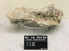 -甘肃地质博物馆