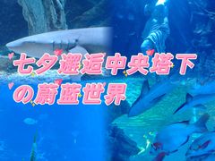 -太平洋海底世界