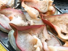马贝-蚝专家(北滘店)
