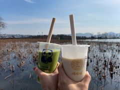 -娃哈哈·奶茶(武林店)