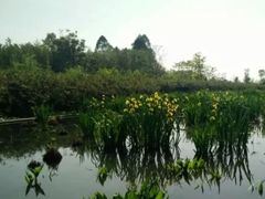 -白鹭湾湿地公园