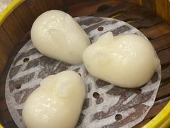 金玉小白兔-金华悦国际酒店·金福大酒楼